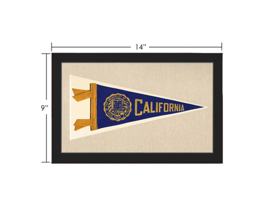 Vintage UC Berkeley Pennant