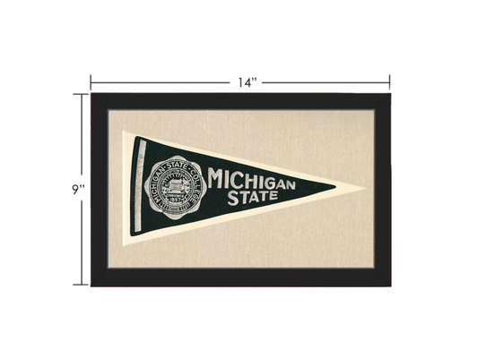 Vintage Michigan State Pennant