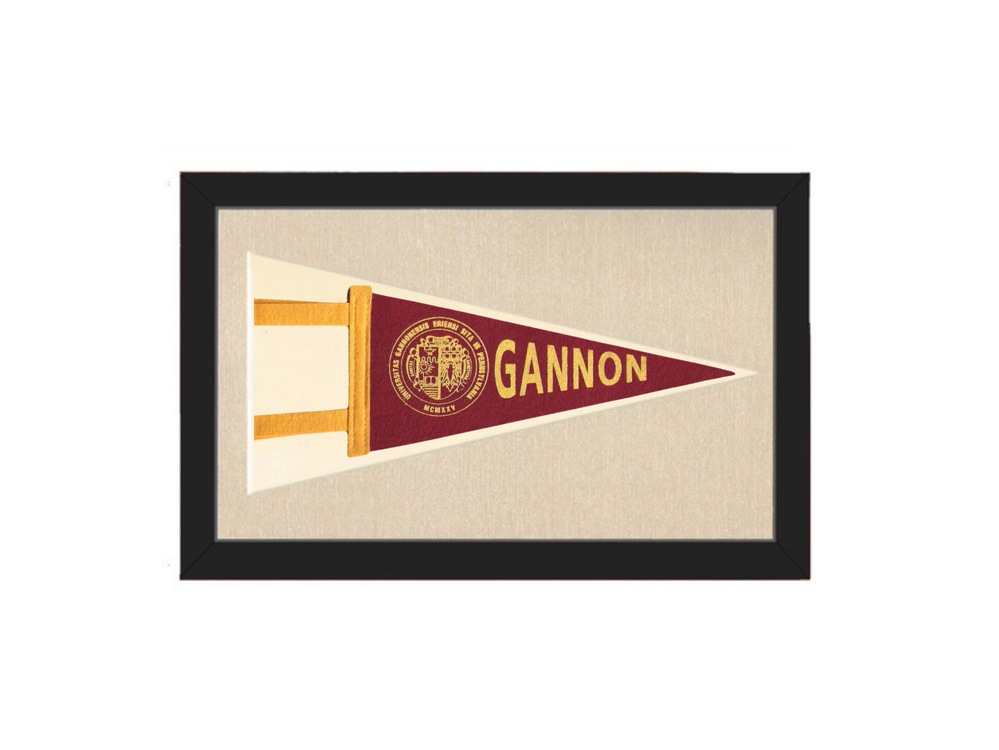 Vintage Gannon University Pennant