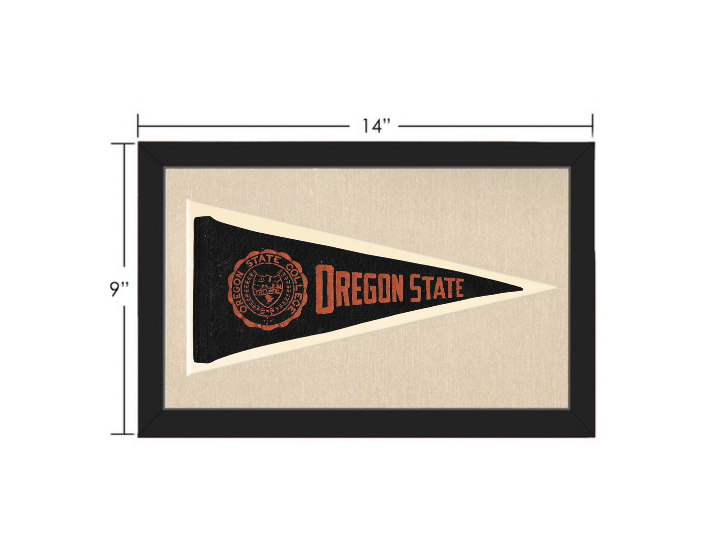 Vintage Oregon State Pennant