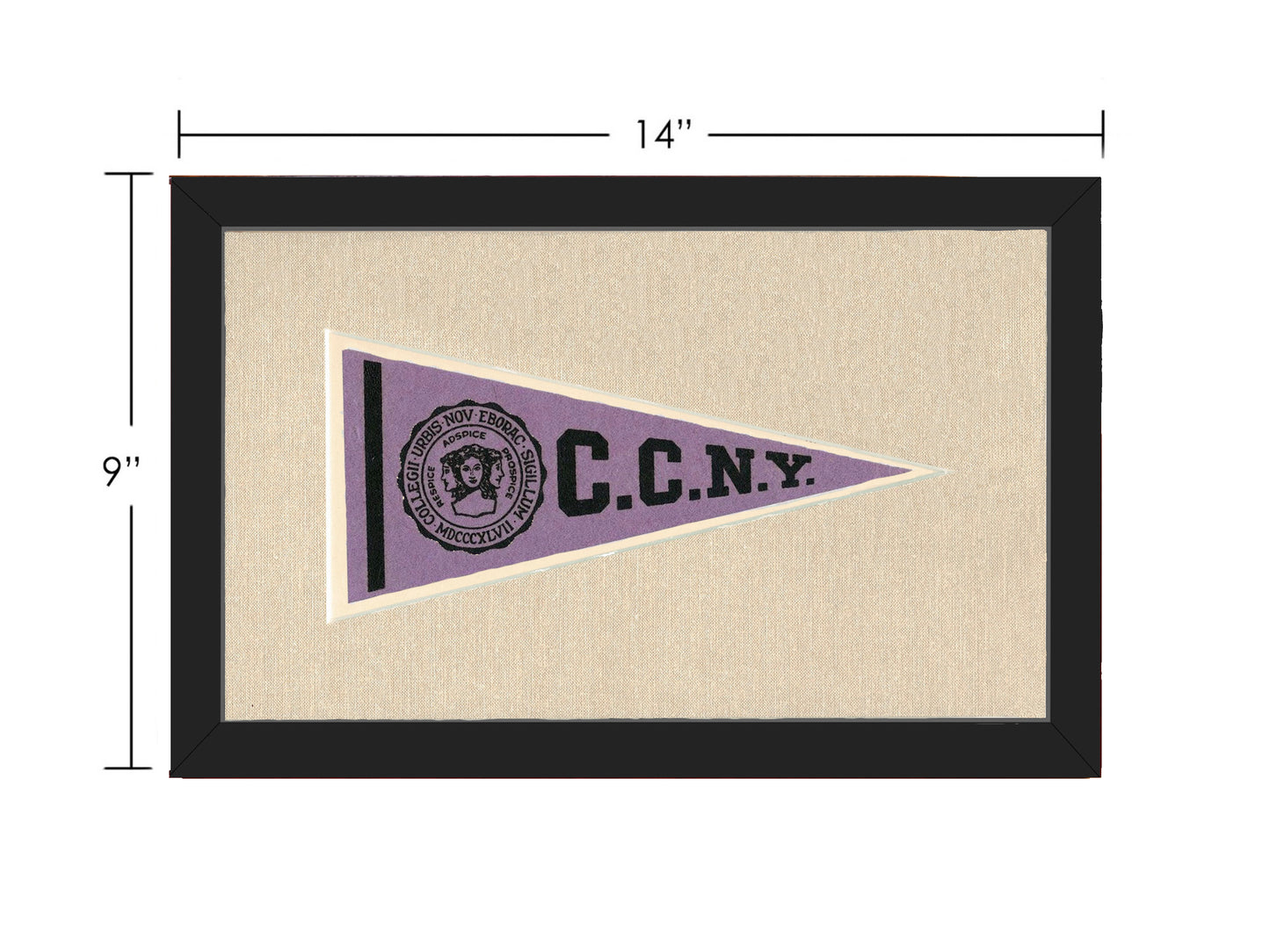 Vintage City College of New York Pennant