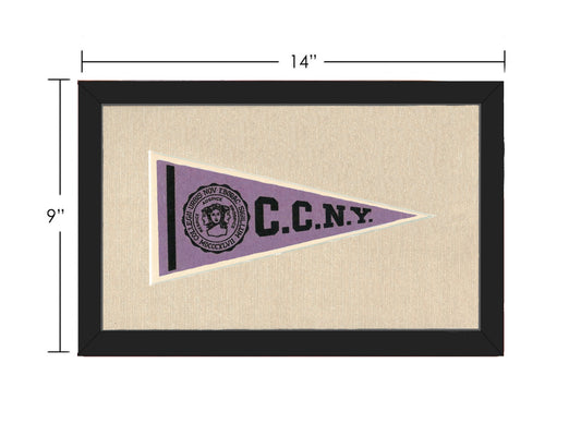Vintage City College of New York Pennant