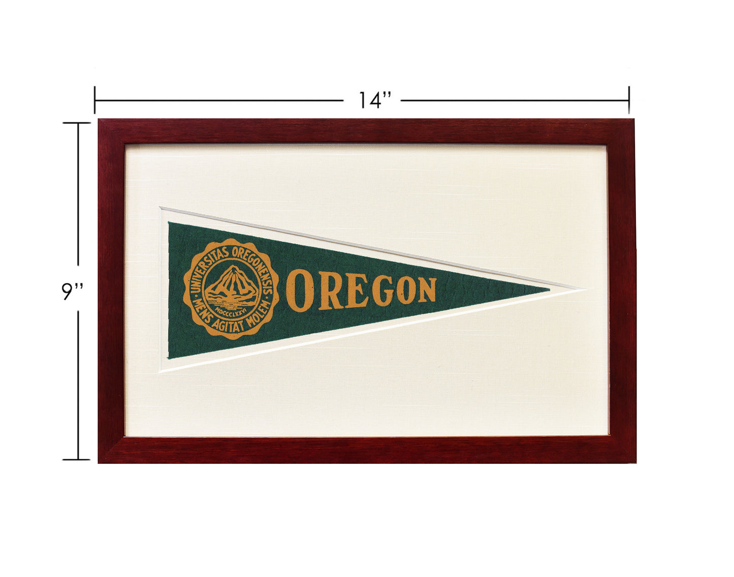Vintage University of Oregon Hormel Pennant
