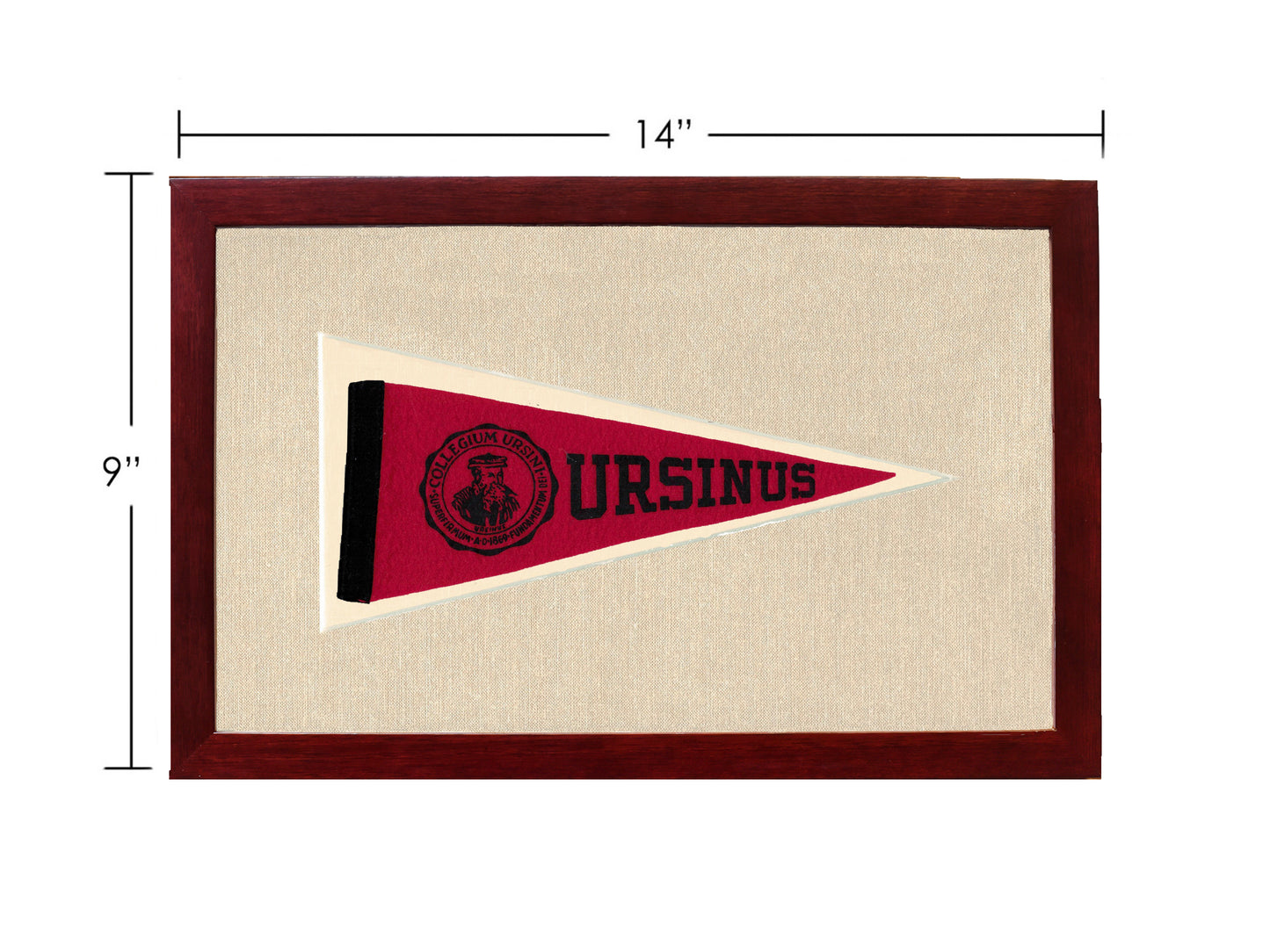 Vintage Ursinus College Pennant