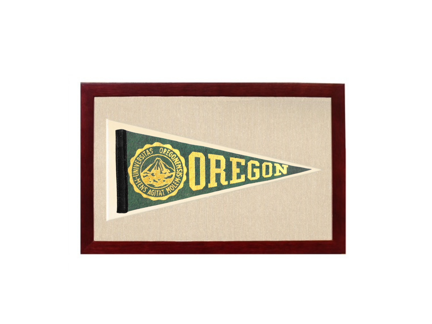 Vintage Oregon University Pennant