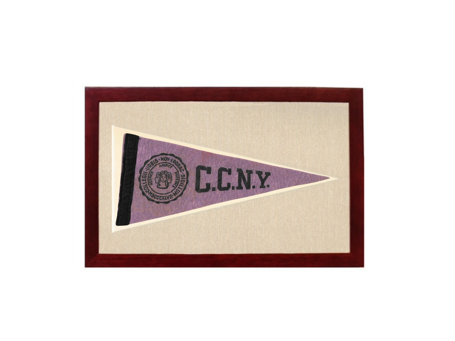 Vintage CCNY Pennant