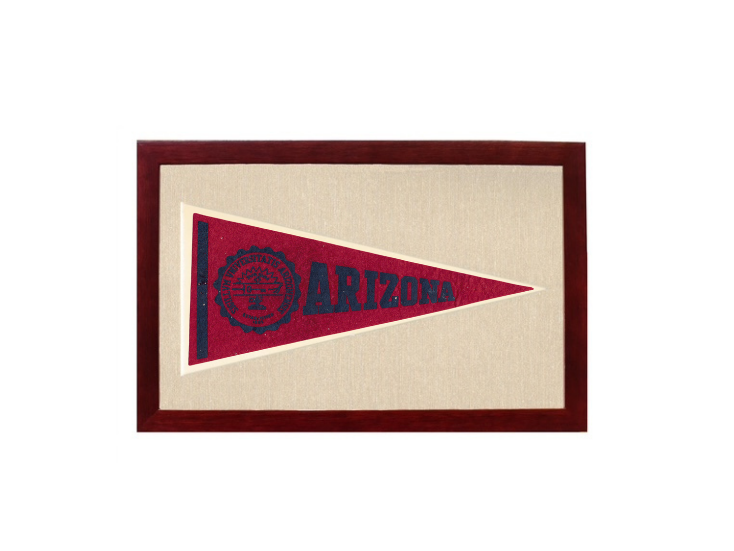 Vintage Arizona Pennant