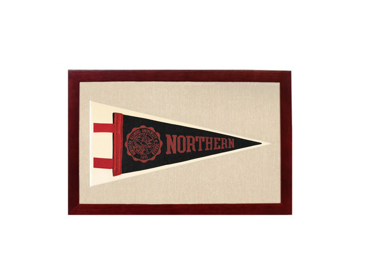 Vintage Northern Illinois Flag