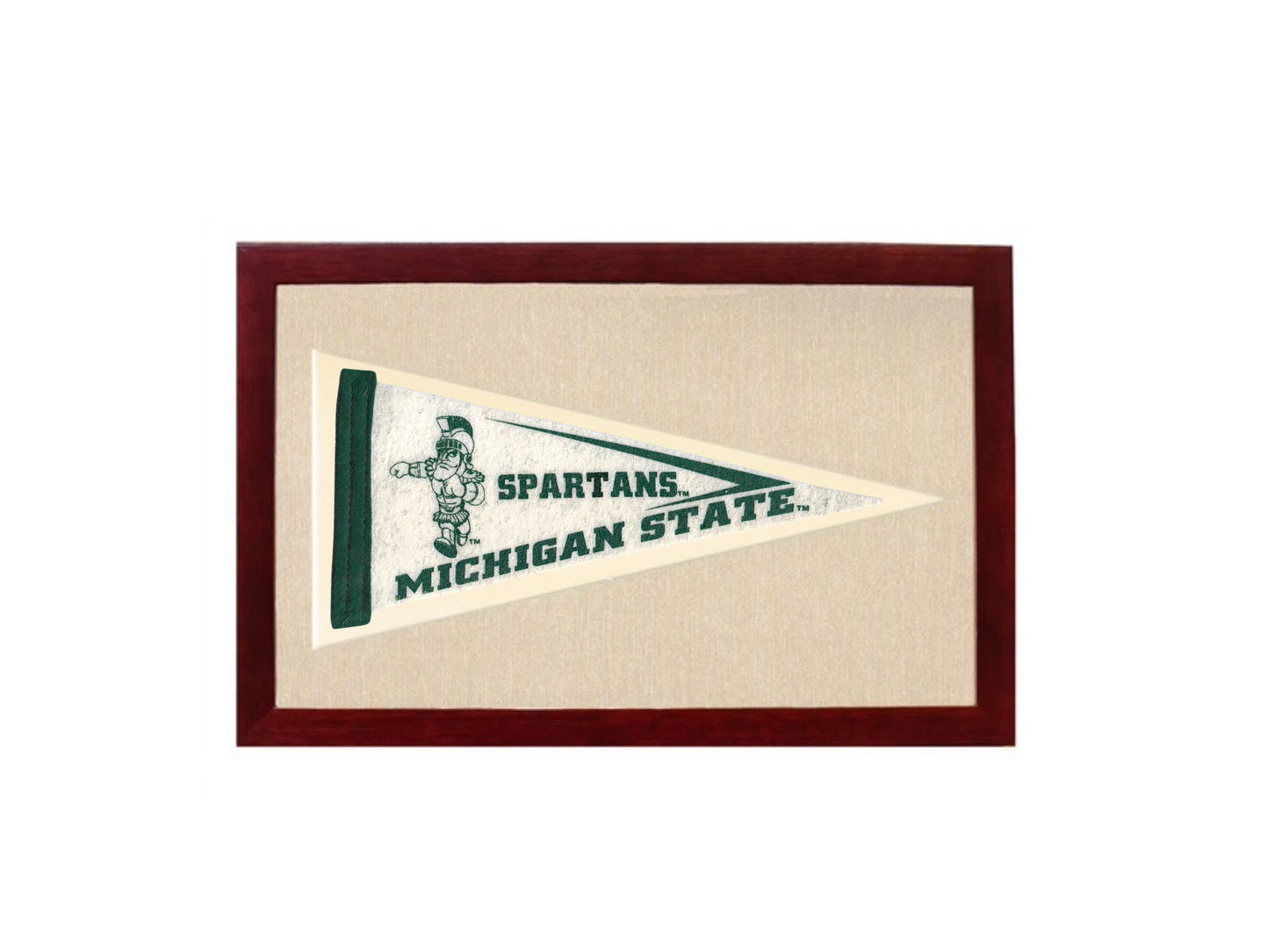 VIntage Michigan State University Spartans Pennant