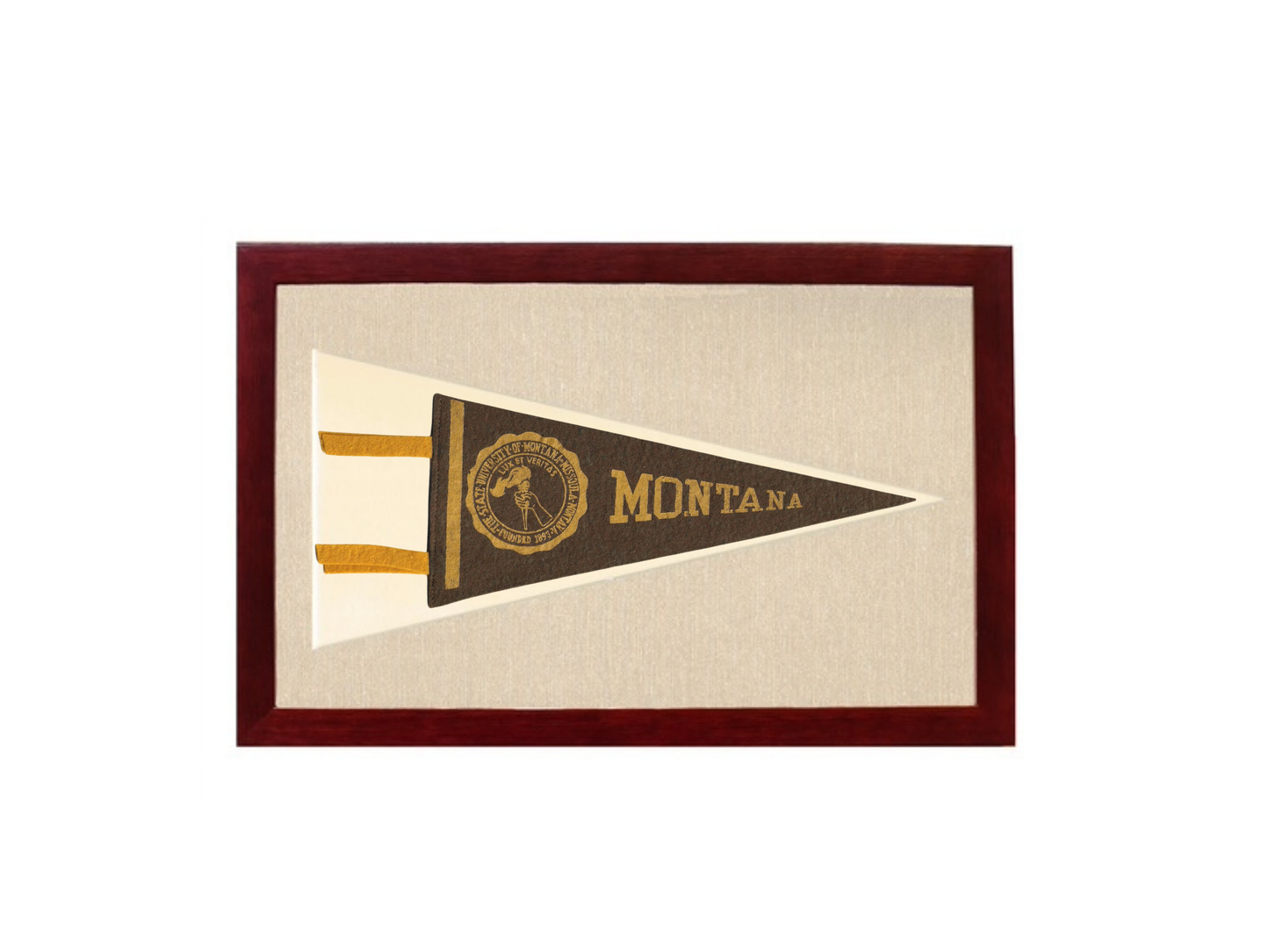Vintage Montana Pennant