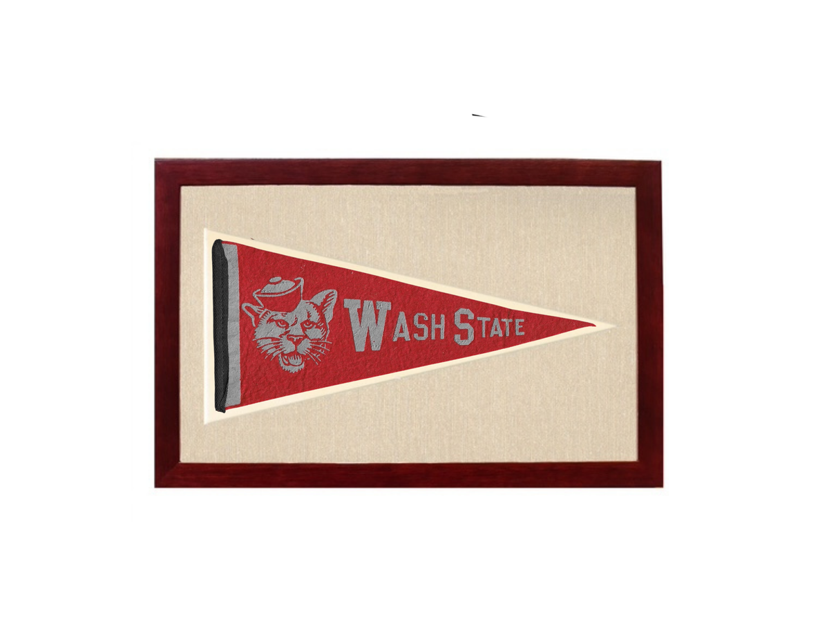 Vintage Washington State Pennant