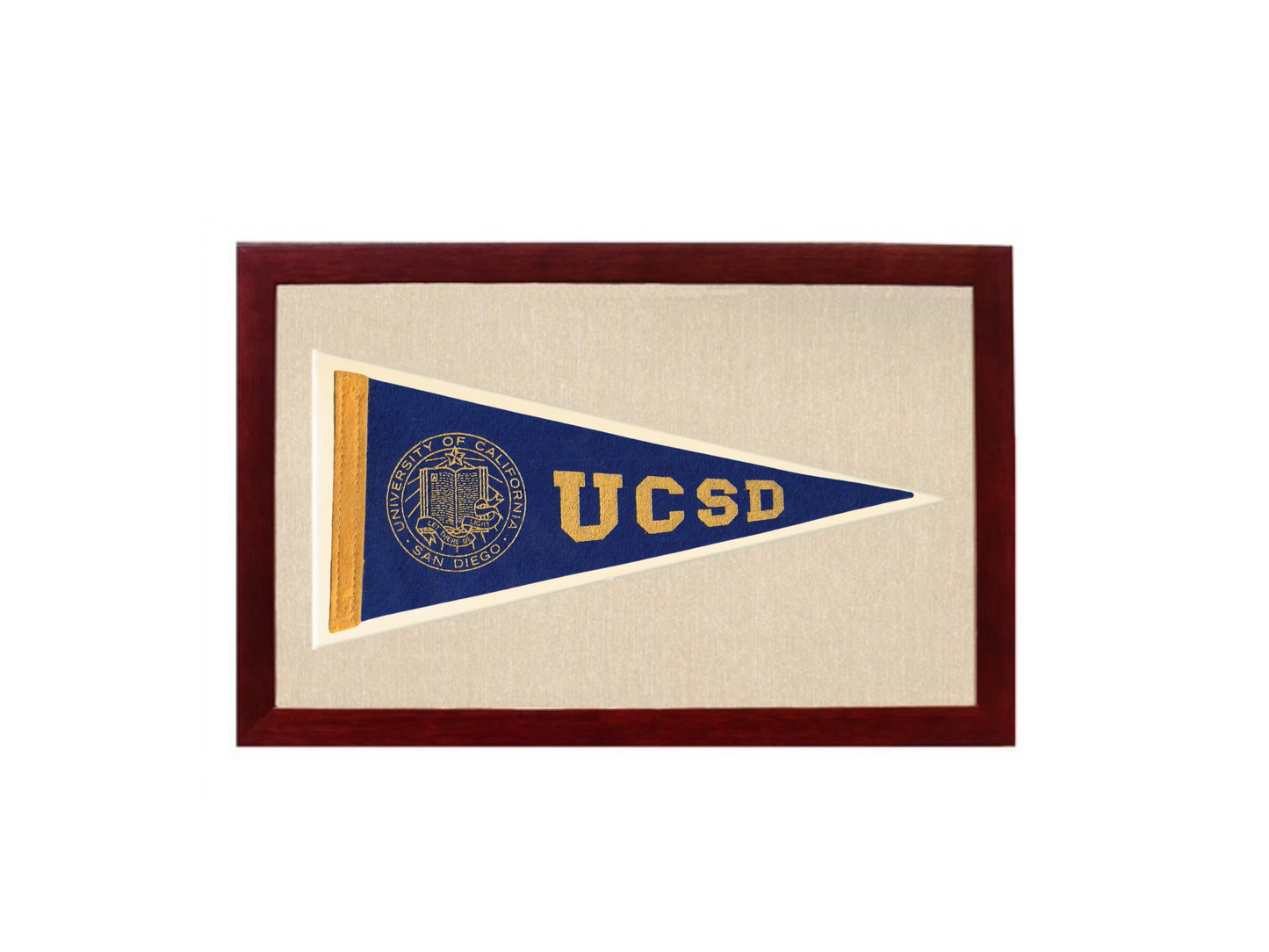 Vintage UCSD Pennant