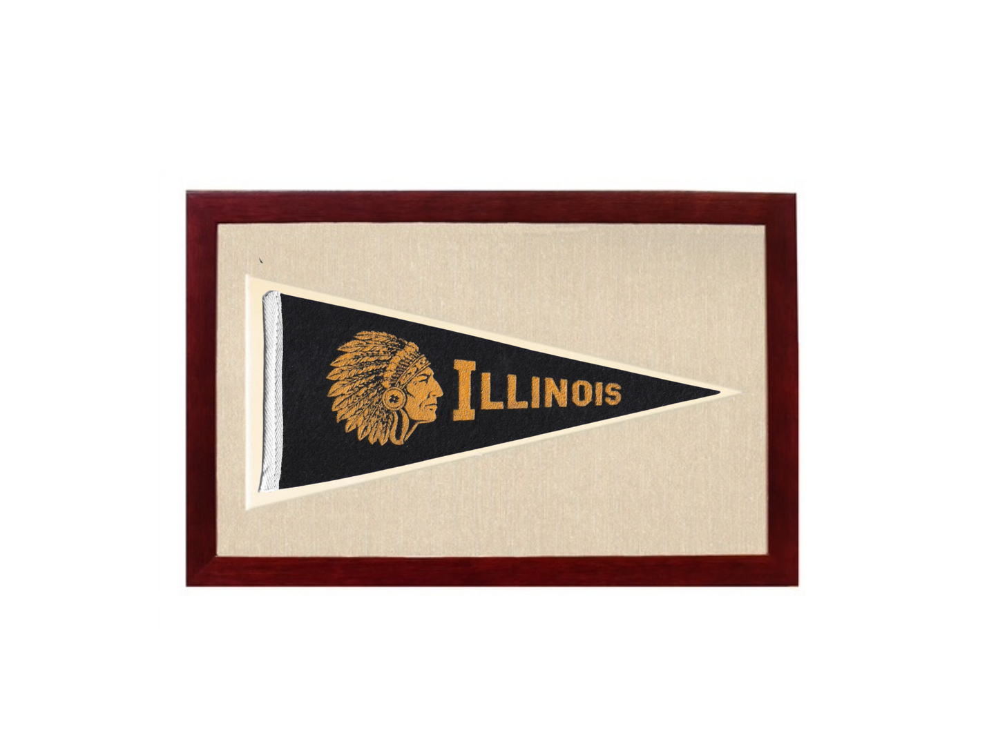 Vintage Illinois Pennant