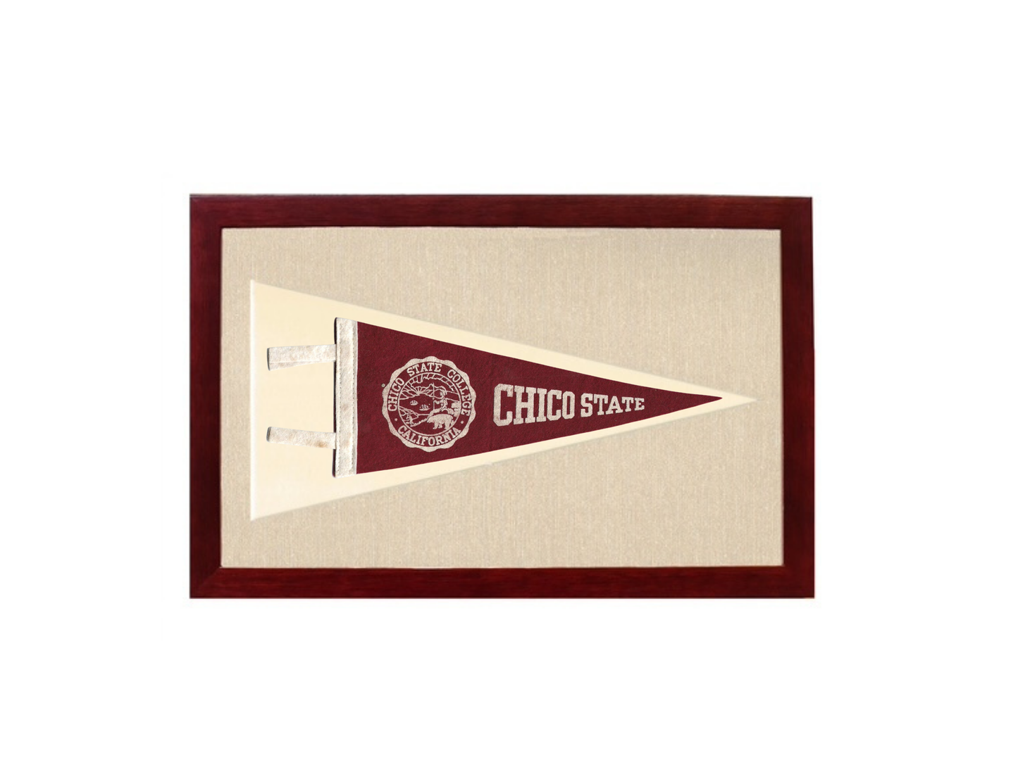 Vintage Chico State Pennant
