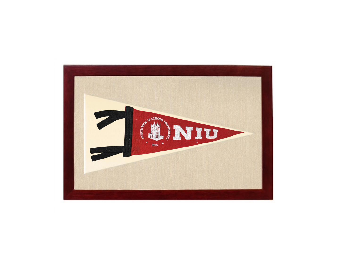 Vintage NIU Pennant