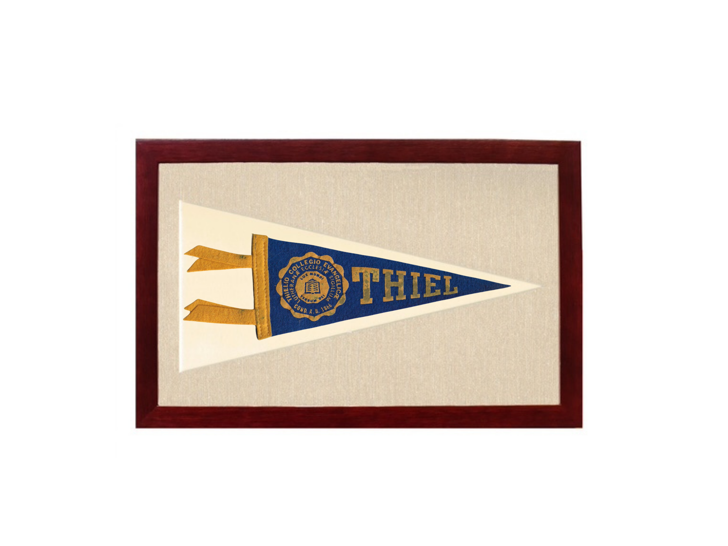 Vintage Thiel College Pennant