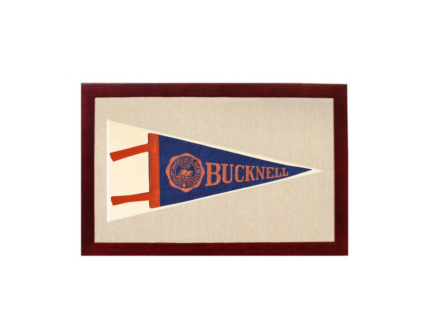 Vintage Bucknell University Pennant