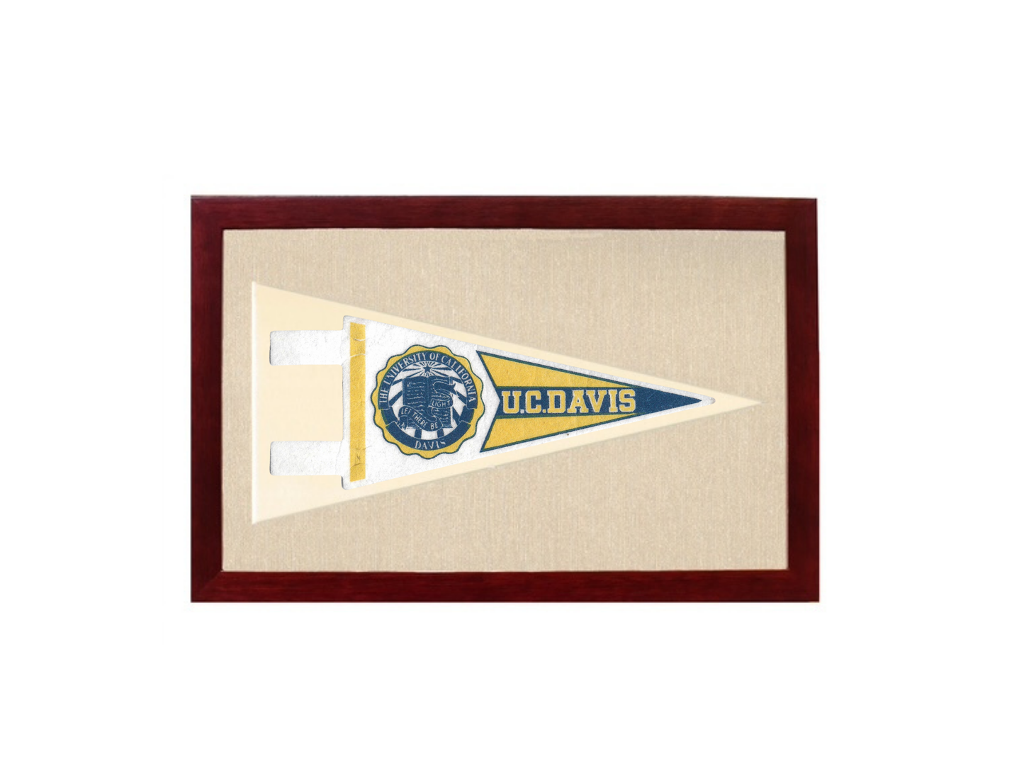 Vintage UC Davis Pennant
