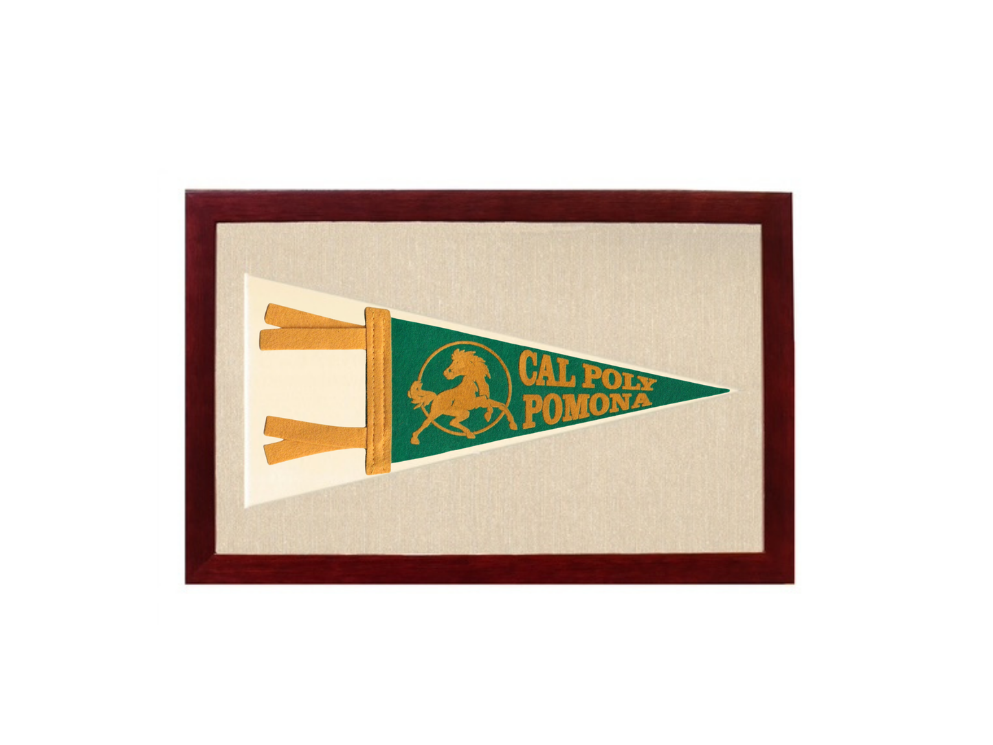 Vintage Cal Poly Slo Pennant