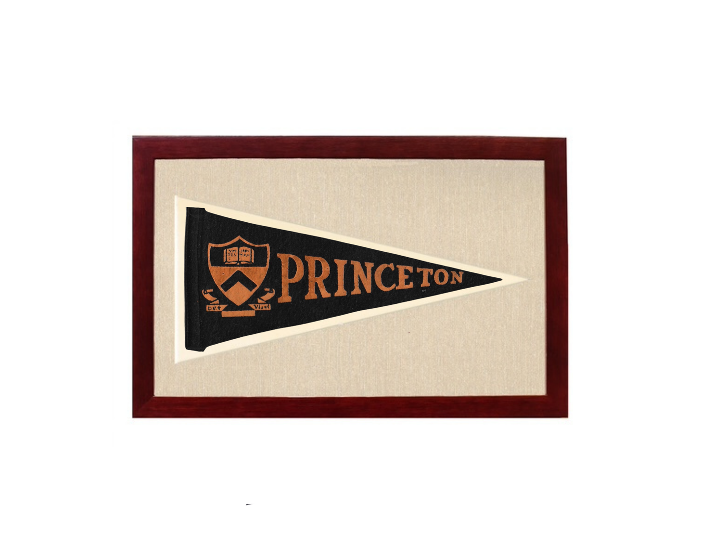 Vintage Princeton Pennant