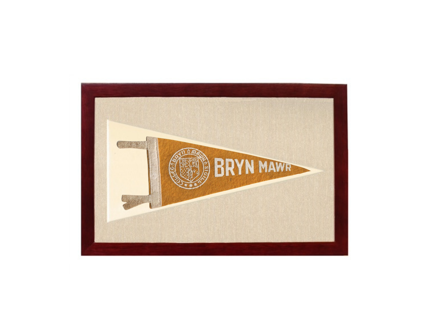Vintage Bryn Mawr Pennant