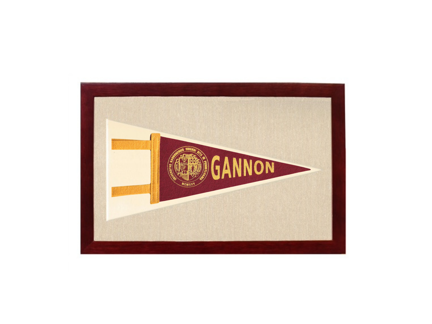 Vintage Gannon University Pennant