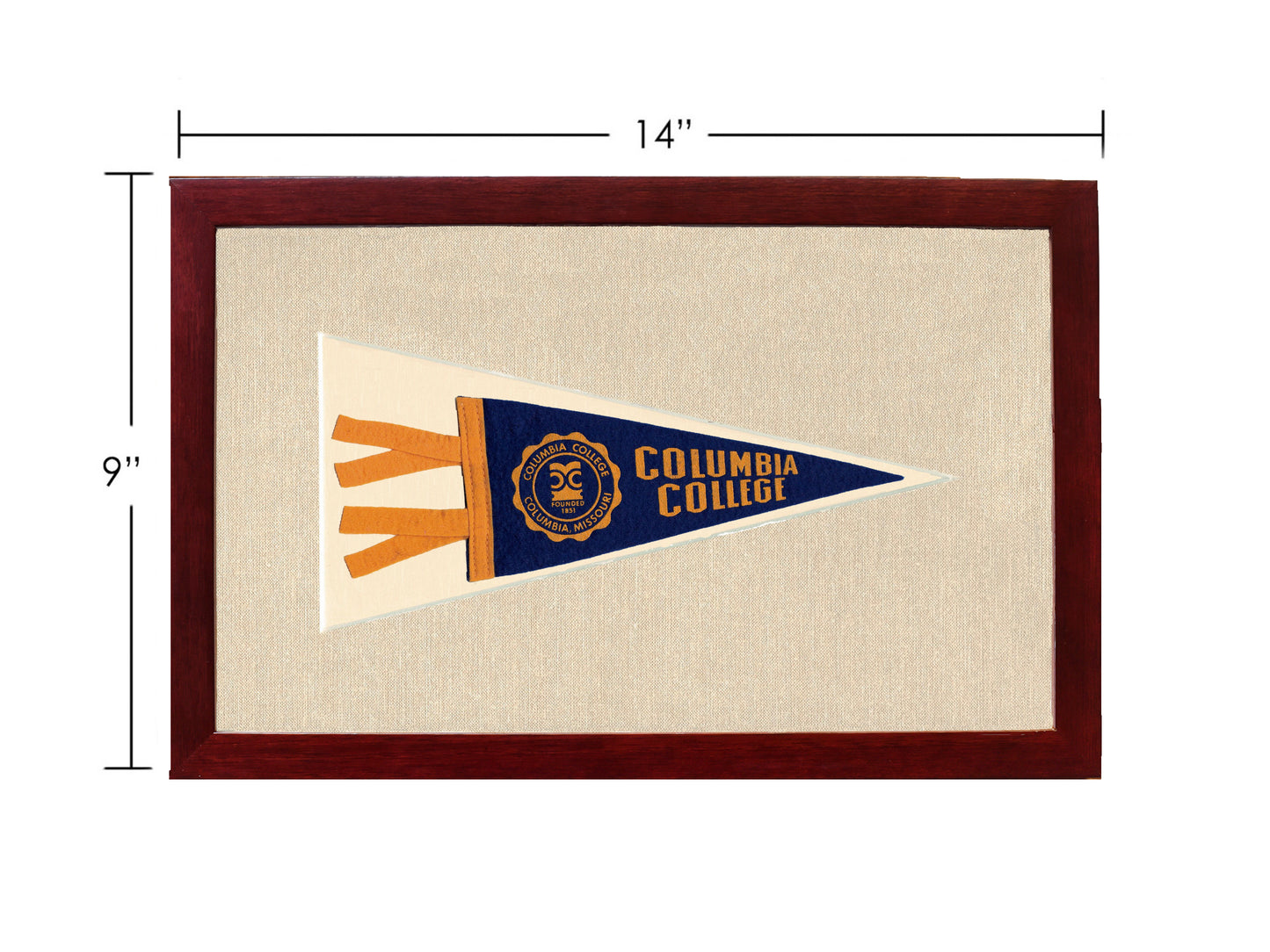 Vintage Columbia College Pennant