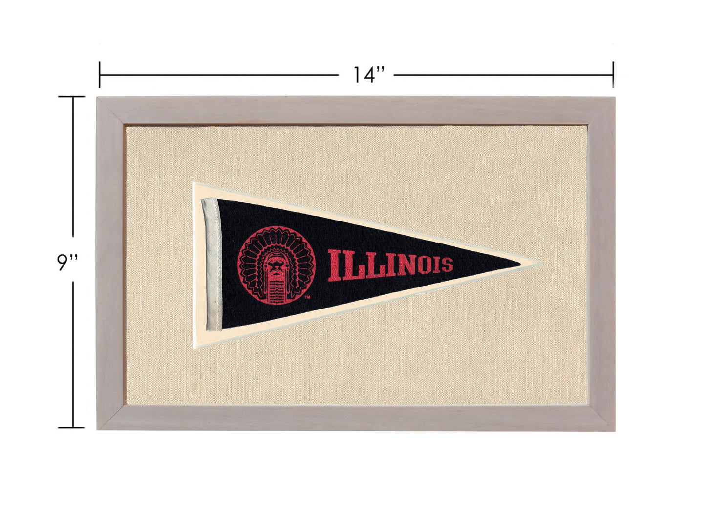 Vintage Illinois Pennant