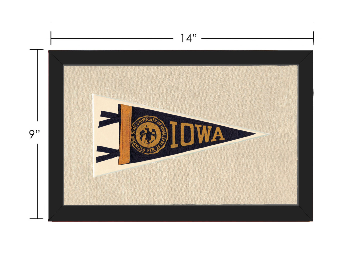 Vintage University of Iowa Pennant