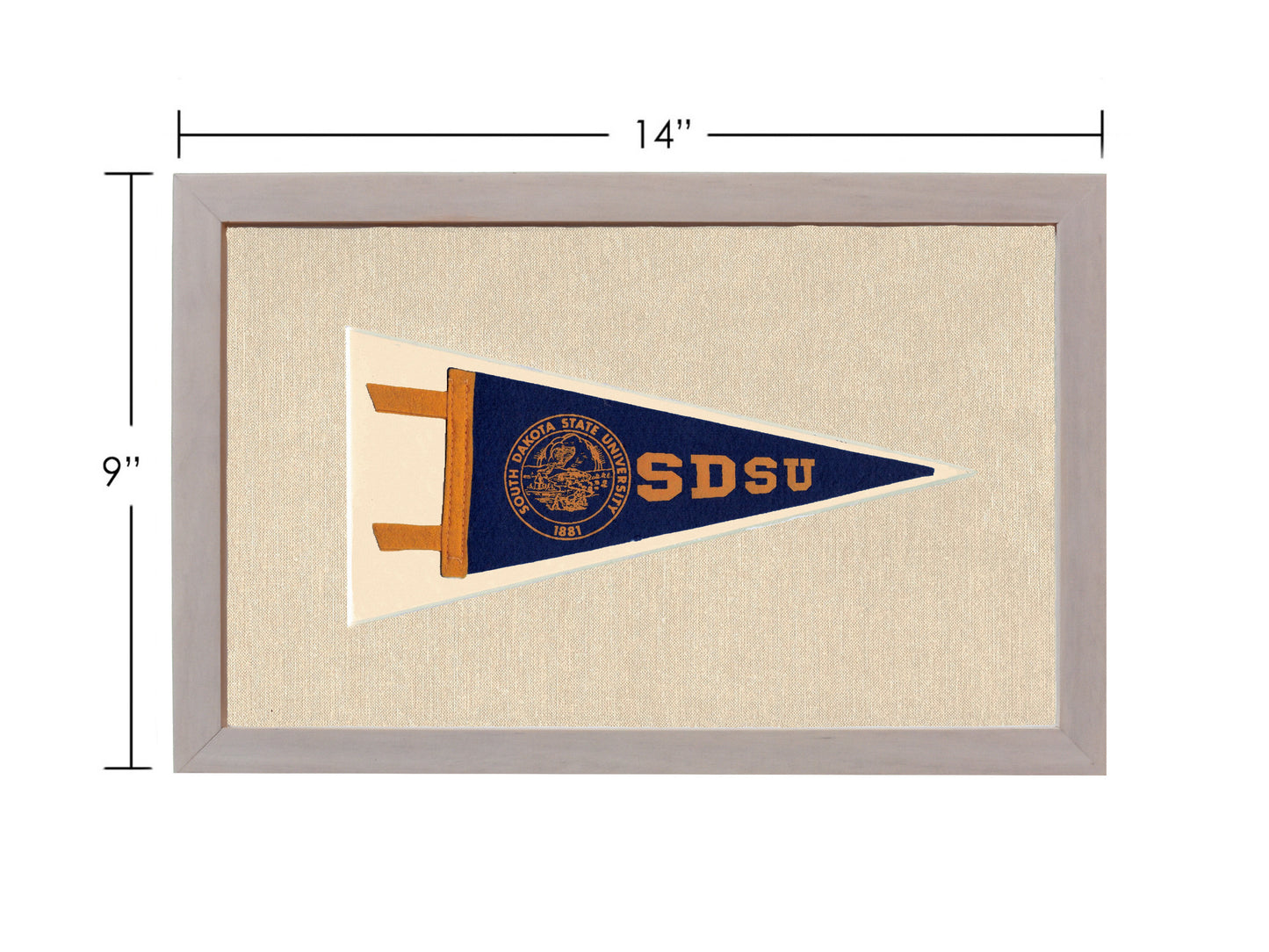 Vintage South Dakota State University Pennant