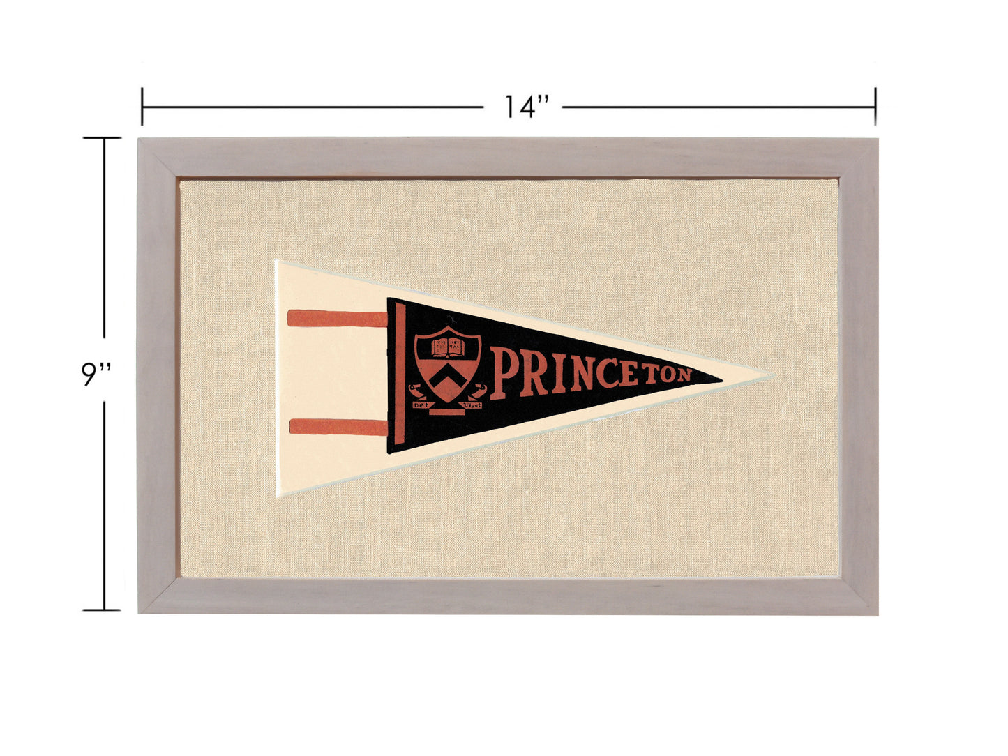 Vintage Princeton Pennant