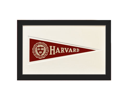 Vintage Harvard University Hormel Pennant