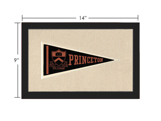 Vintage Princeton Pennant