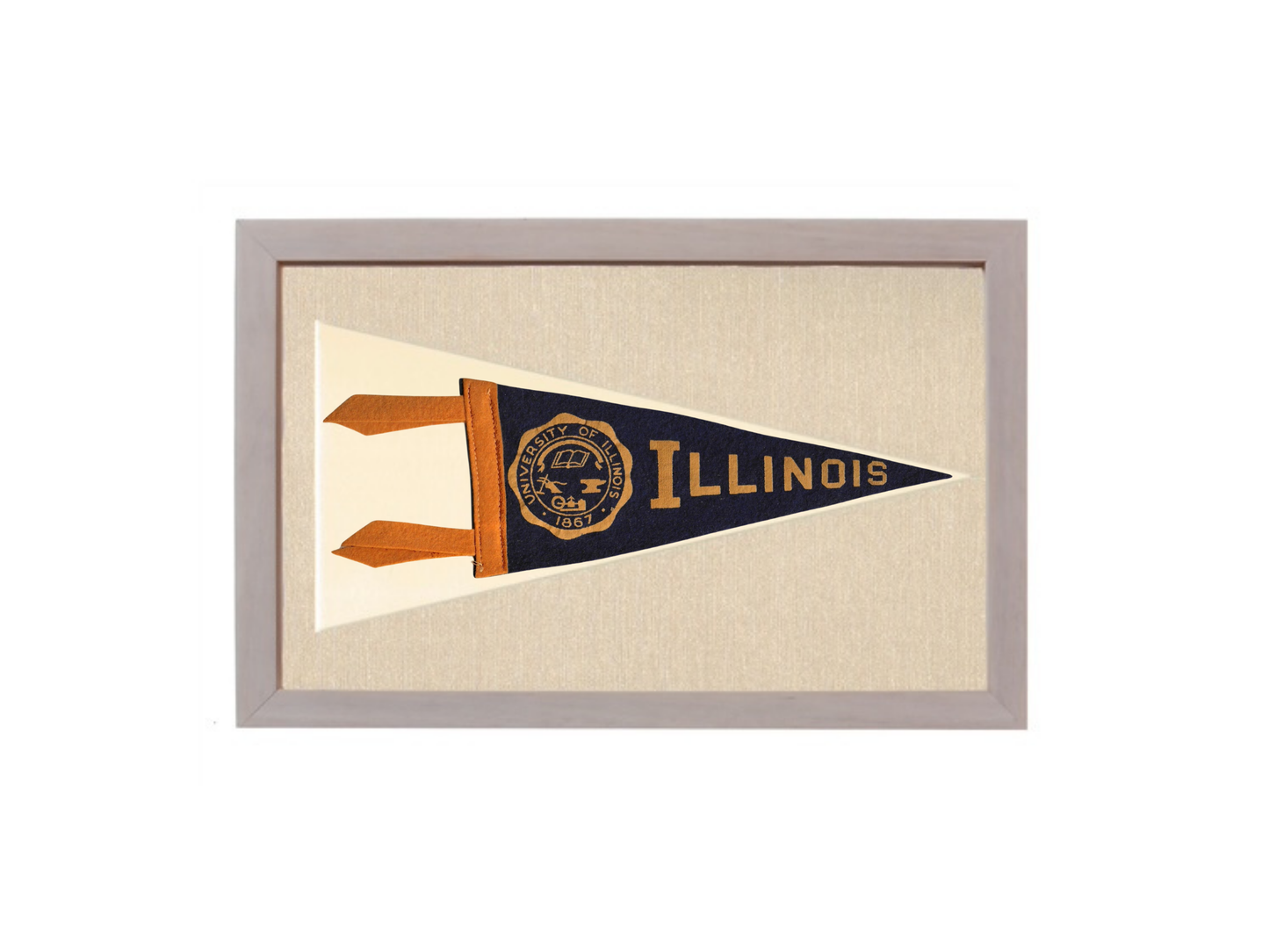 Vintage Illinois Pennant