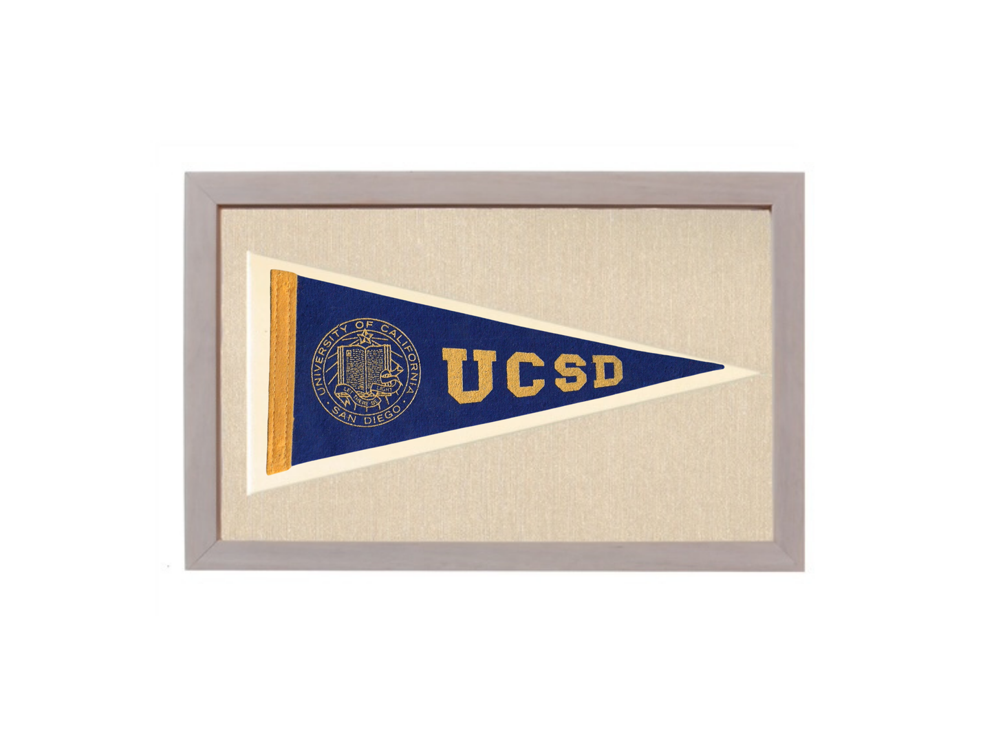 Vintage UCSD Pennant