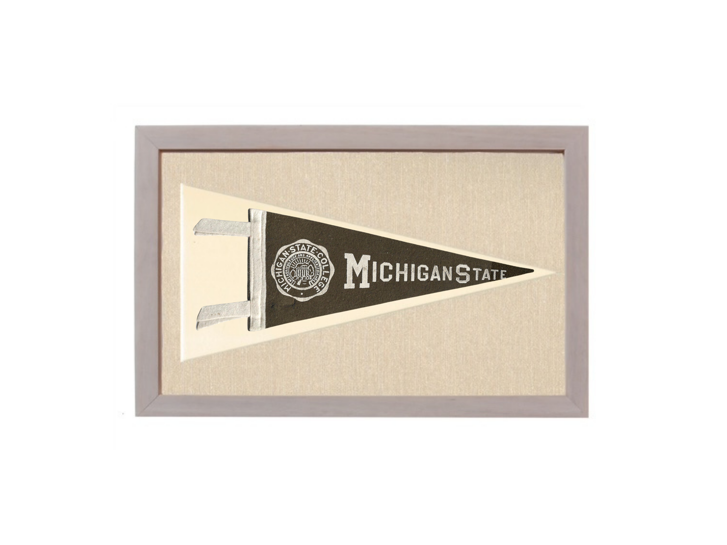 Vintage Michigan State Pennant