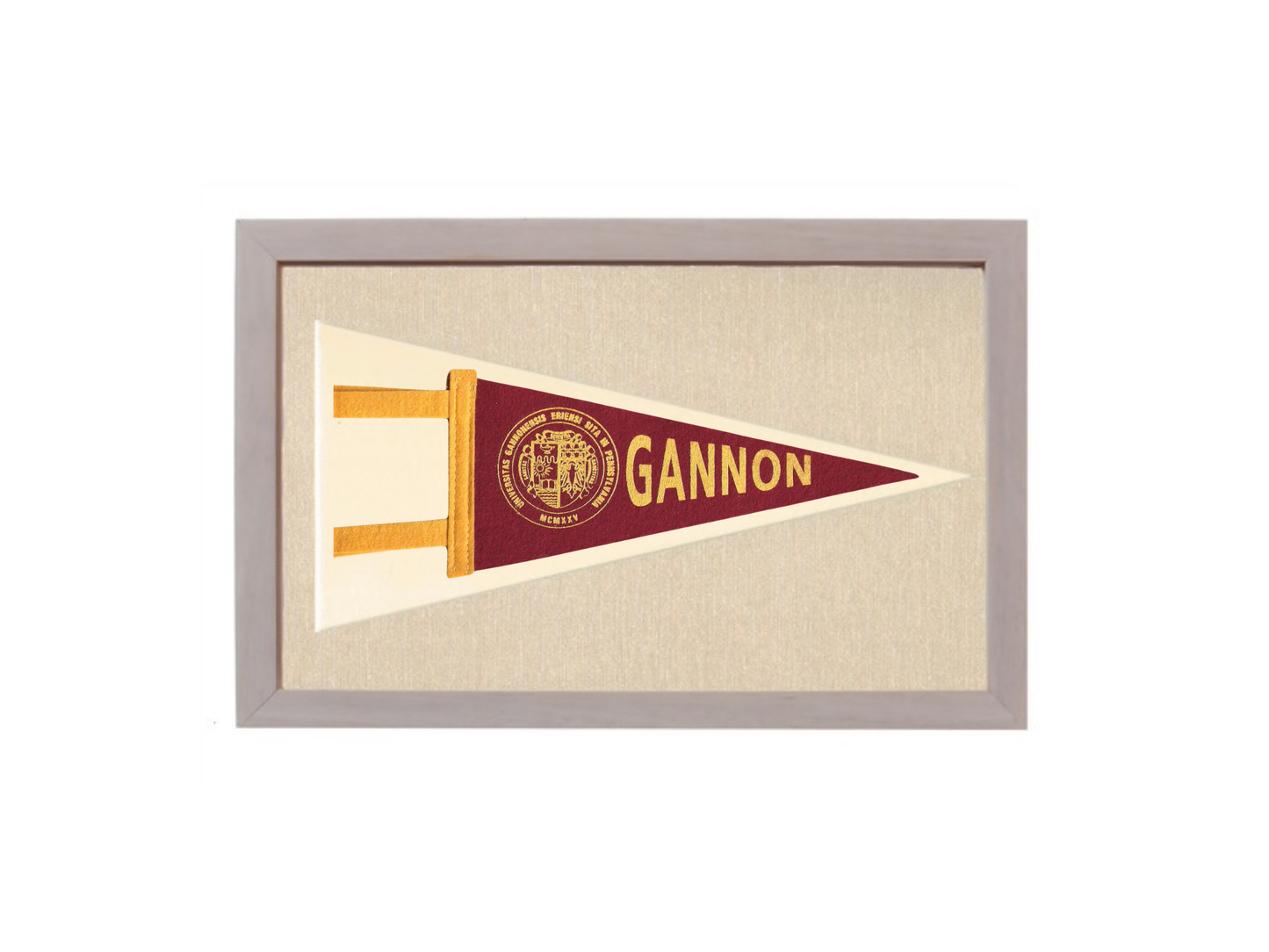 Vintage Gannon University Pennant