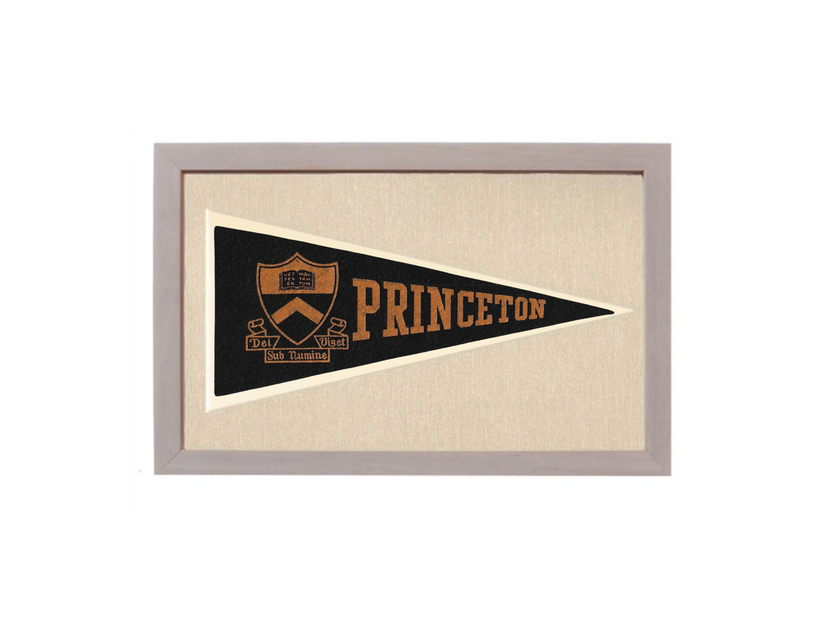 Vintage Princeton University Pennant