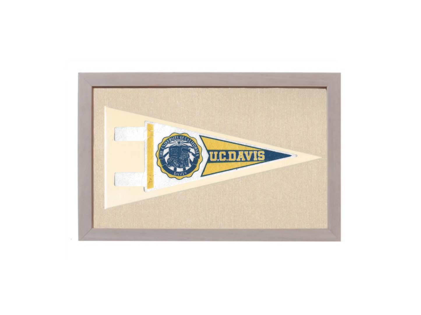 Vintage UC Davis Pennant