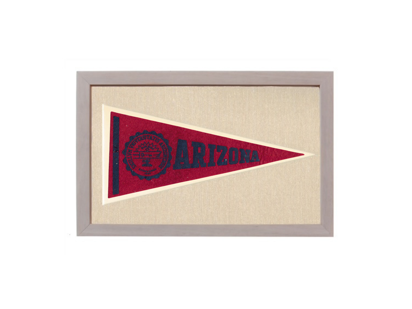 Vintage Arizona Pennant
