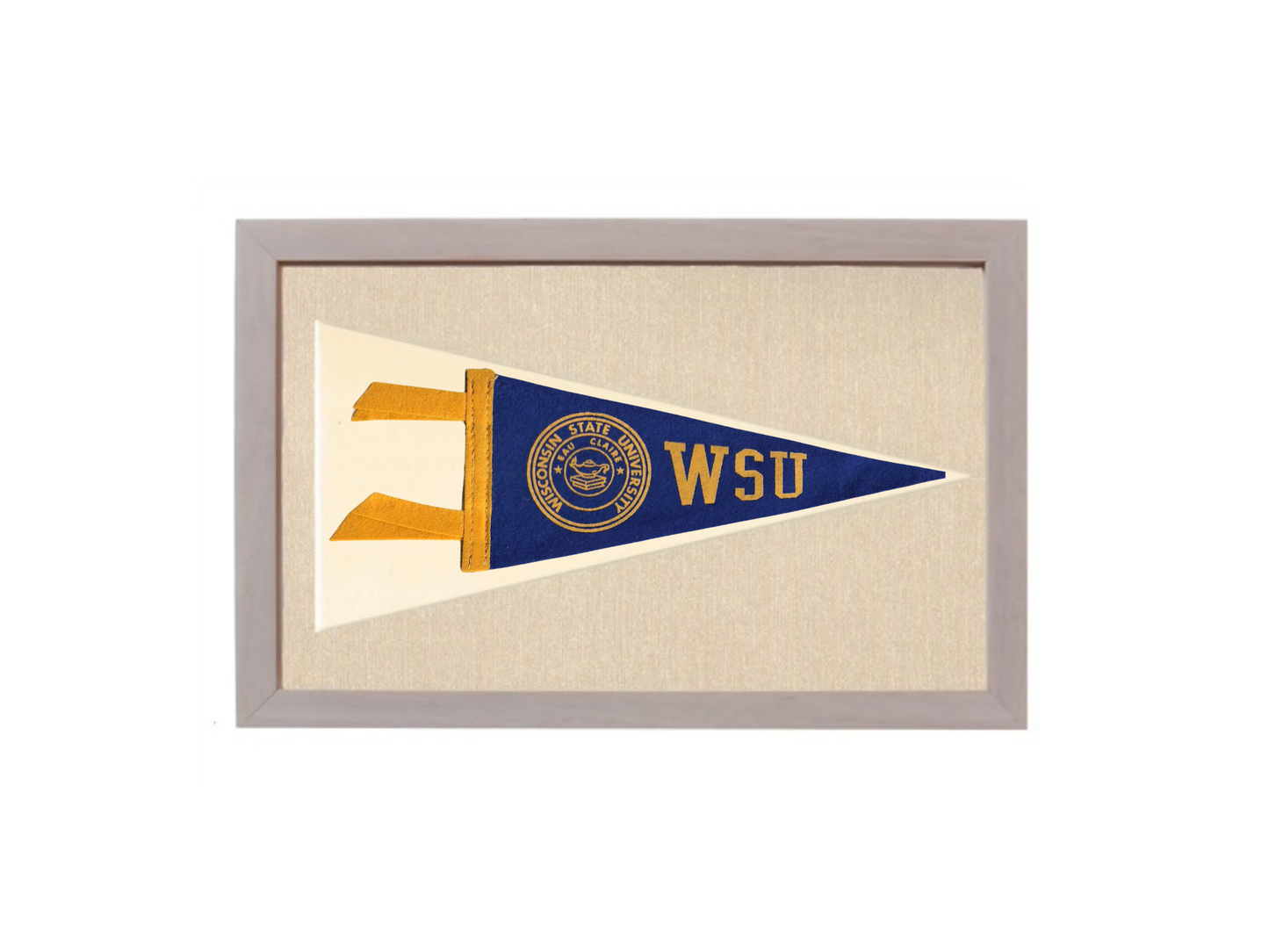 Vintage Wisconsin State University Pennant