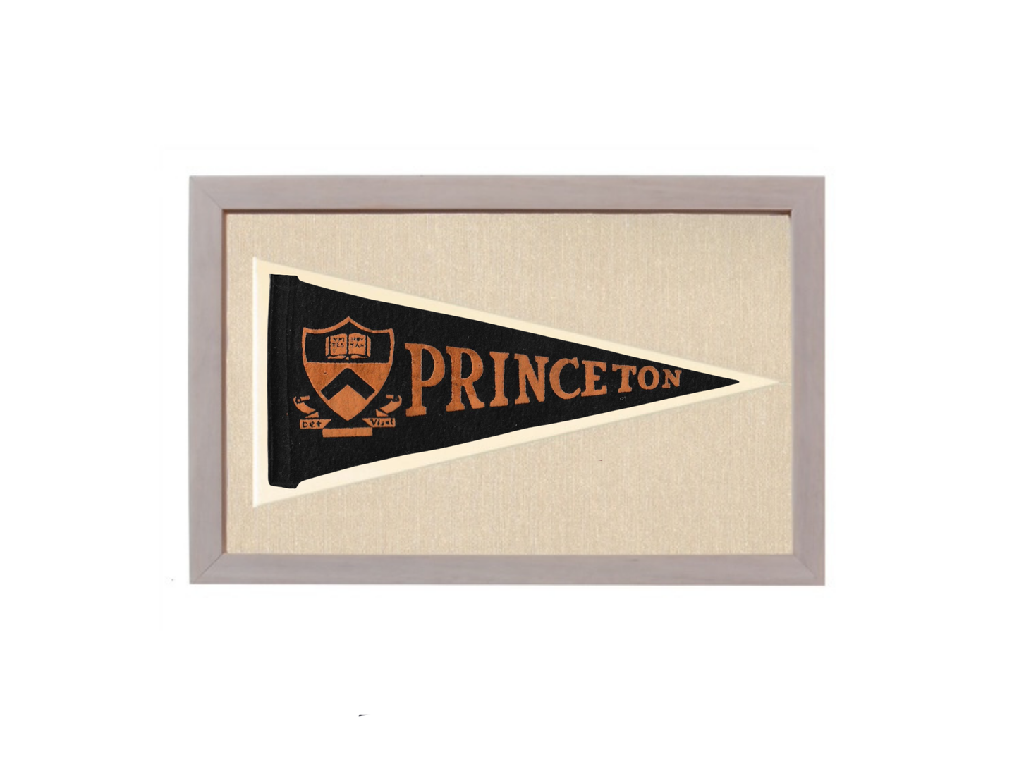 Vintage Princeton Pennant