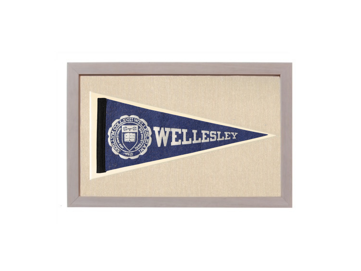 Vintage Wellesley Pennant