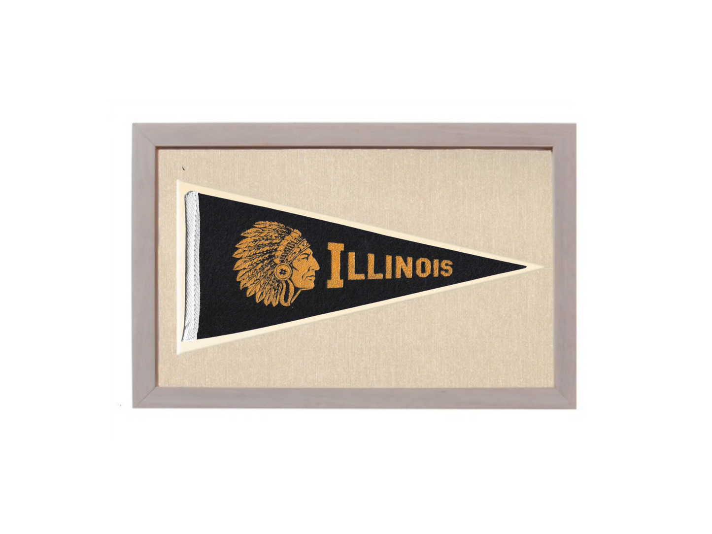 Vintage Illinois Pennant