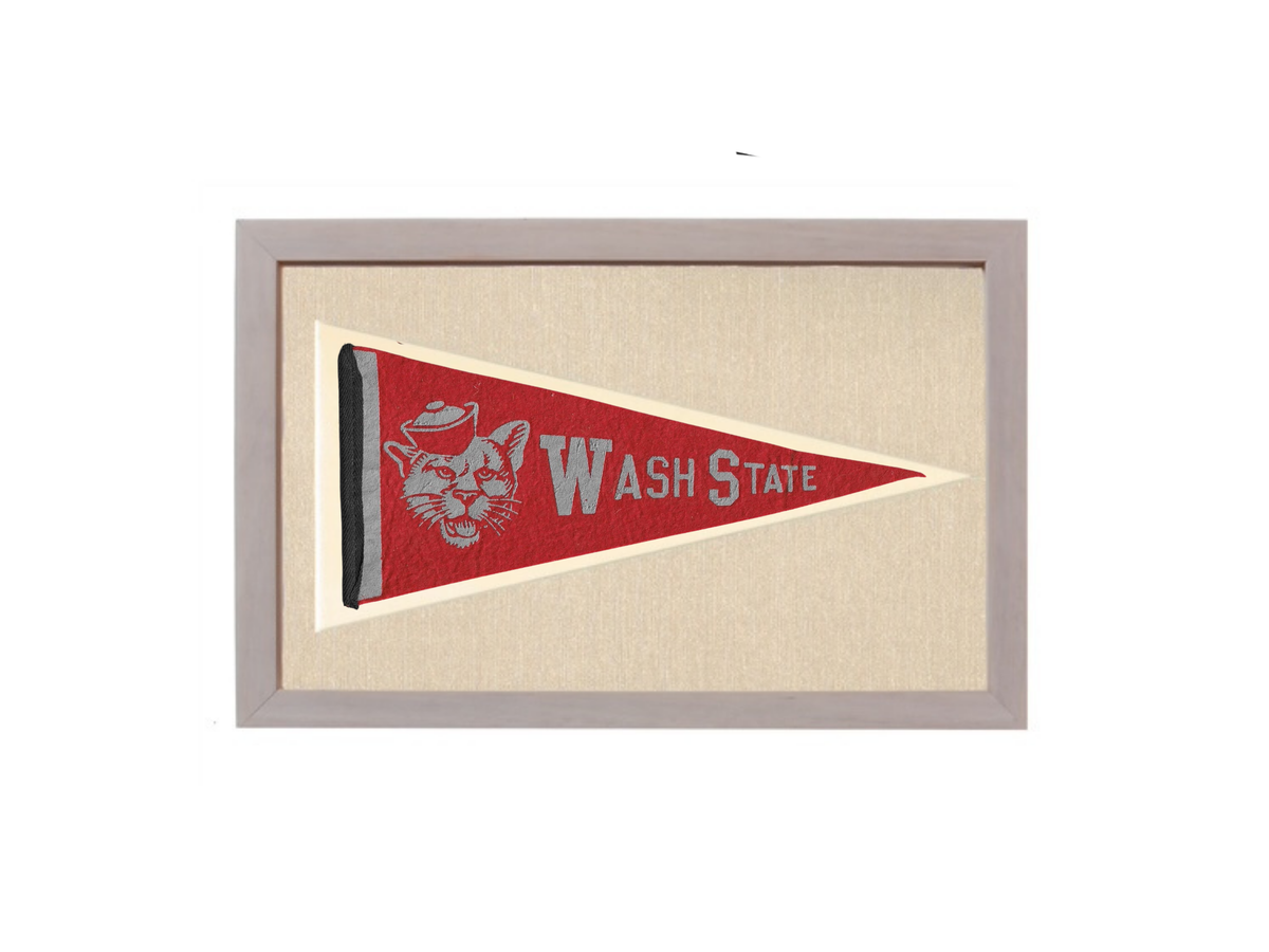Vintage Washington State Pennant
