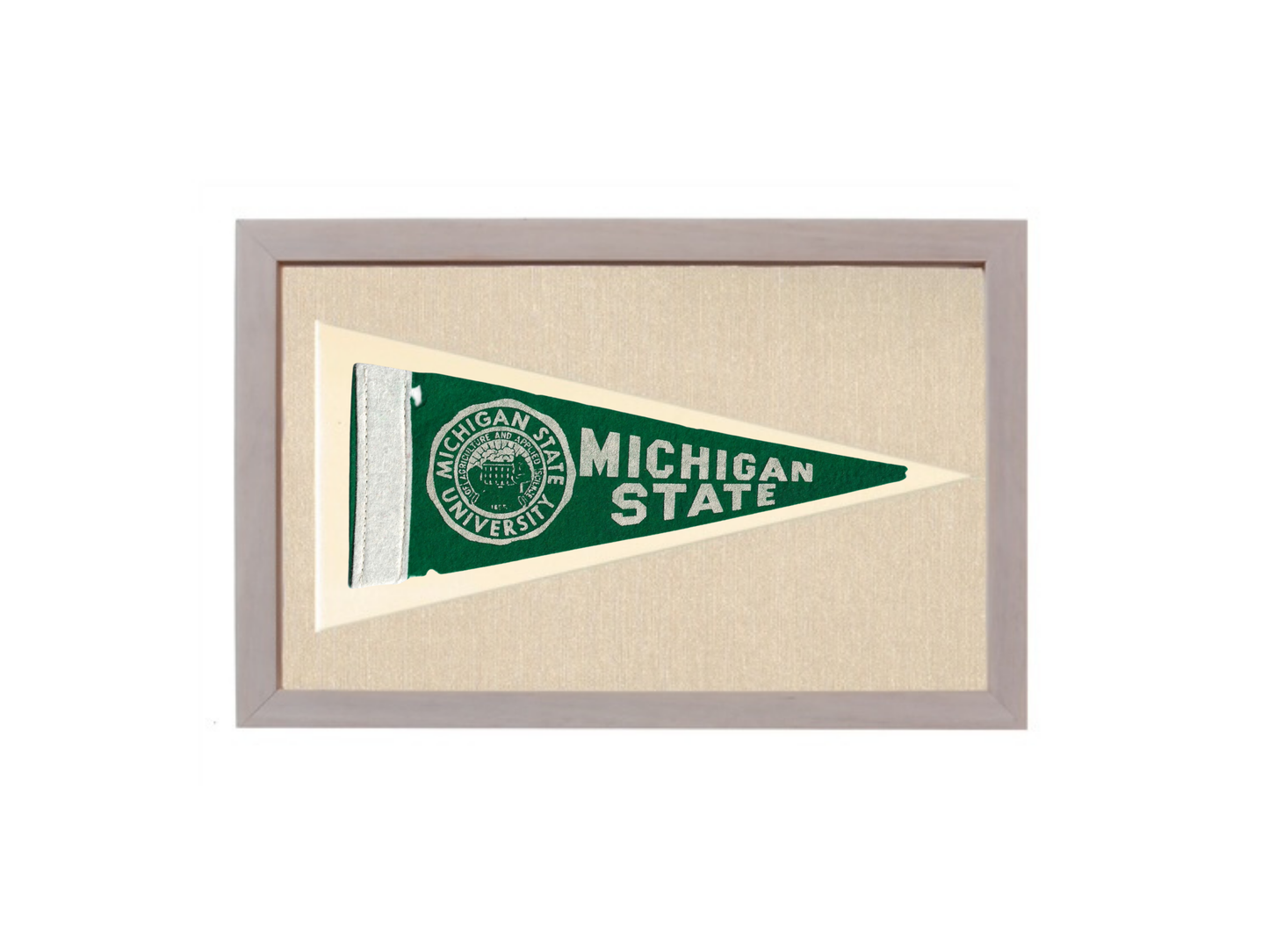 Vintage Michigan State Pennant