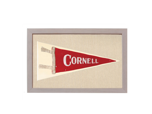 Vintage Cornell University Pennant