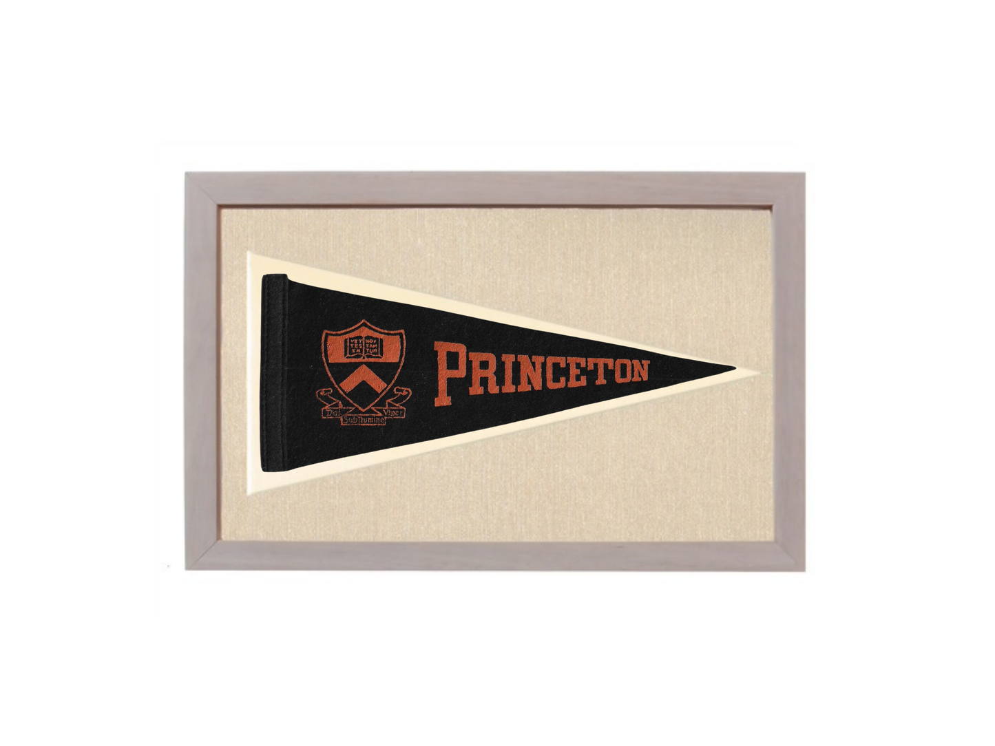 Vintage Princeton University Pennant
