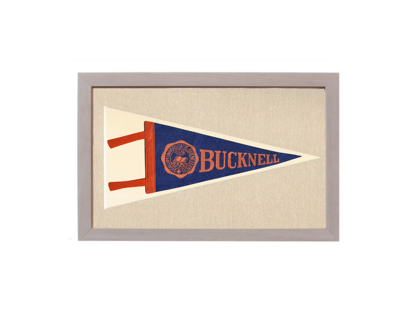 Vintage Bucknell University Pennant