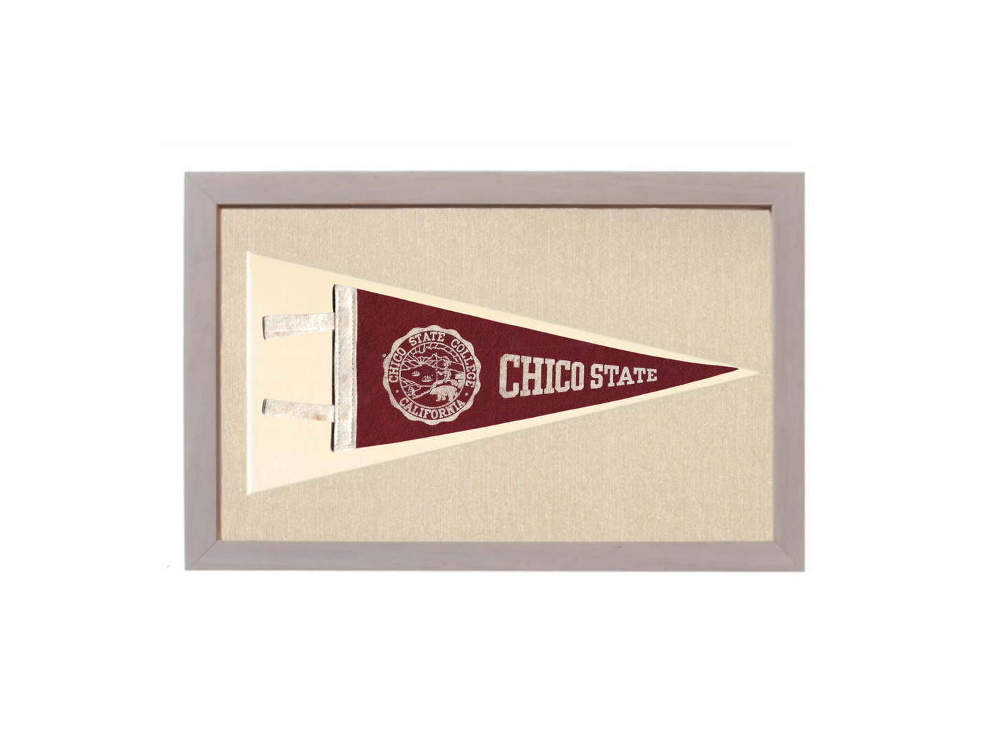 Vintage Chico State Pennant